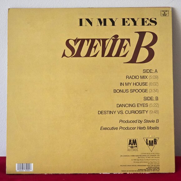 VINTAGE, 1989 STEVIE B, IN MY EYES 12" E.P.!!! - Picture 6 of 6